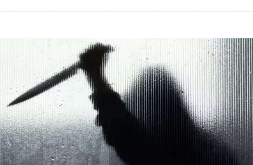 खाना बनाने के विवाद में रेस्त्रां मालिक की हत्या, उत्तर प्रदेश के निवासी हैं आरोपित