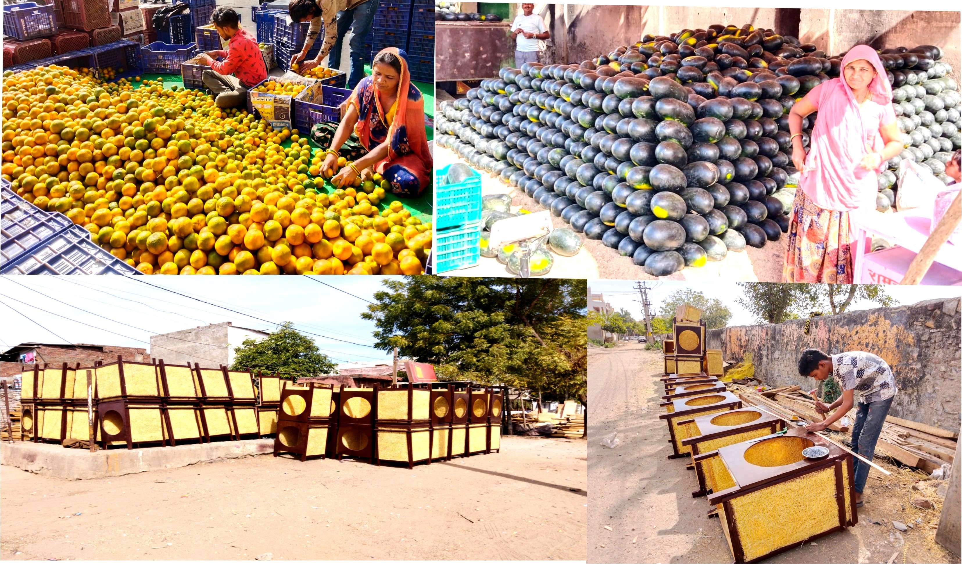 VIDEO गर्मी की आहट के साथ ही तरबूज और संतरों की आवक शुरू, बनने लगे है लकड़ी के कूलर