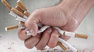 तंबाकू   सेहत के लिए बहुत नुकसानदायक