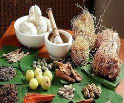 मोटापा, मधुमेह और हड्डी की समस्याओं का आयुर्वेद से  होगा निदान