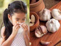 मौसमी सर्दी-जुकाम ने कर रखा है परेशान या मोटापा ने, लहसुन से करें इन सबका इलाज
