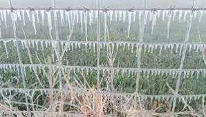 गलनभरी ठंड: हाथ-पैर पड़ने लगे सुन्न, छा गया बर्फ का पर्दा...बाहर जाने से पहले देख  ले फोटो