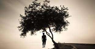   पांच दिन पहले मजदूरी जाने को निकले प्रौढ़ की जंगल में पेड़ से लटकी मिली लाश, फैली सनसनी