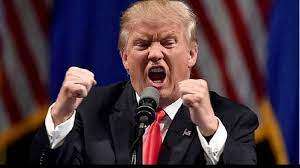 बिना दस्तावेज वाले आप्रवासी अमेरिका के खून में जहर घोल रहे हैं : डोनाल्ड ट्रंप बिना दस्तावेज वाले आप्रवासी अमेरिका के खून में जहर घोल रहे हैं : डोनाल्ड ट्रंप