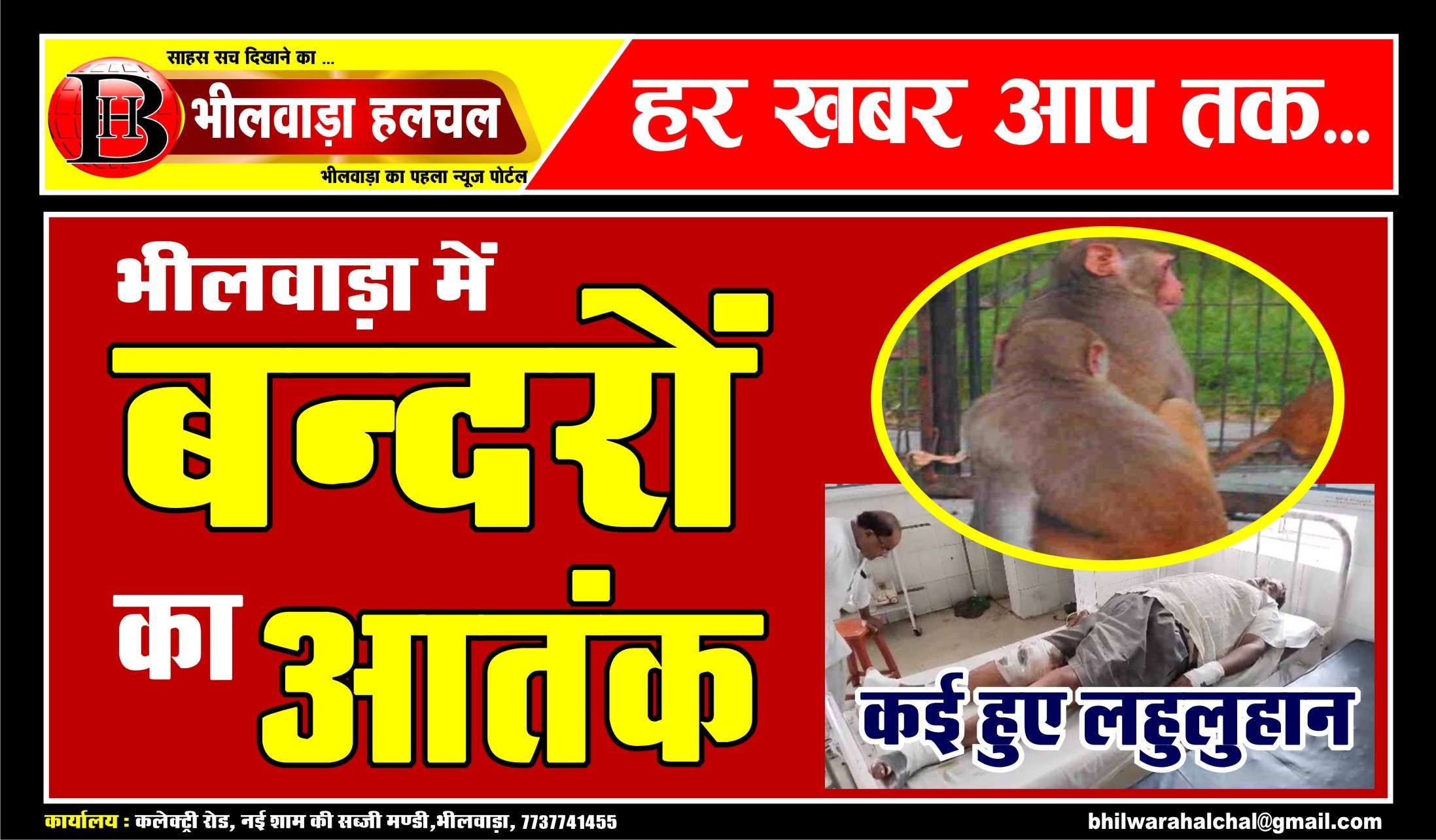 VIDEO पुराना शहर में बंदरों का आतंक कई लोगो को बनाया शिकार,वन विभाग लहुलहान लोगो का देख रहा है तमाशा