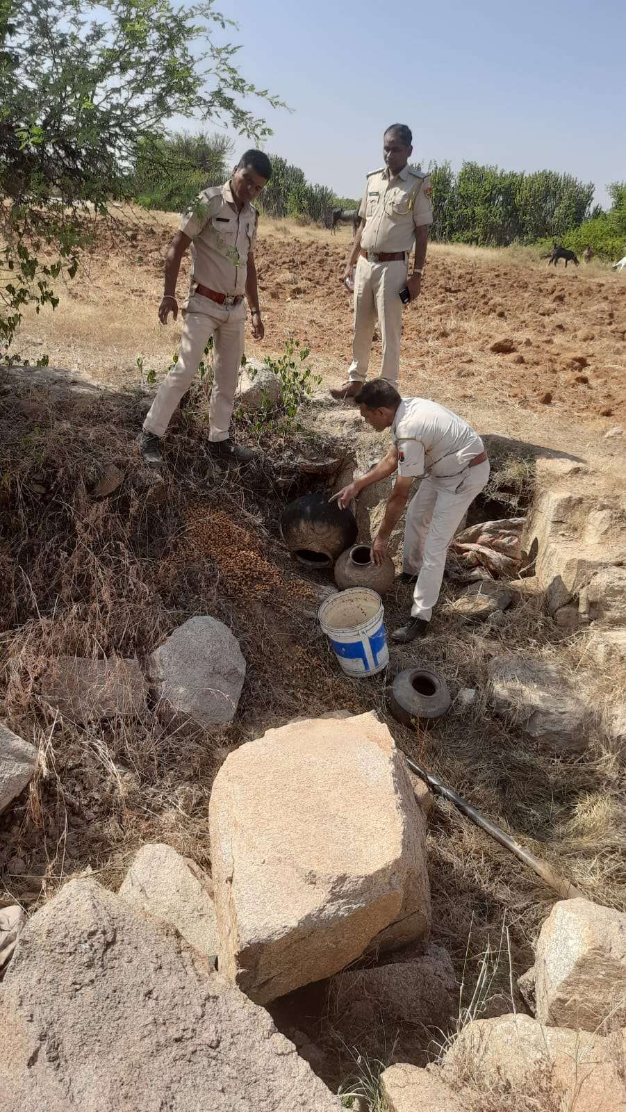 32 हजार 600 लीटर वाश व कई भट्टियां की नष्ट, 12 आरोपी गिरफ्तार