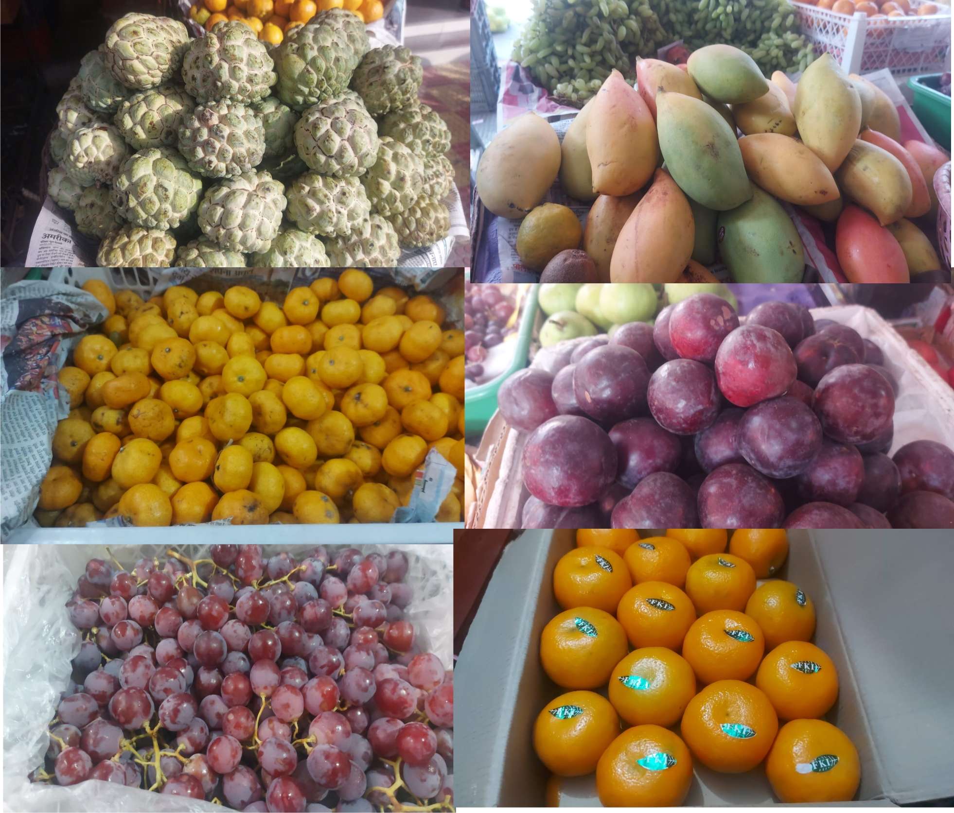 भीलवाड़ा में हर प्रकार के फल का स्वाद ले सकते है बारह महीने, सबसे महंगी बिक रही है ब्ल्यूचेरी