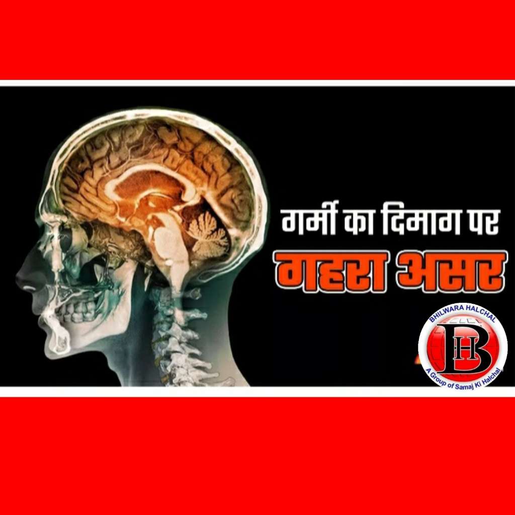 जानें आखिर क्‍यों बढ़े गर्मी में झगड़े, दिमाग का क्‍या है लोचा